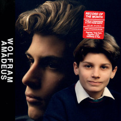 Wolfram - Amadeus