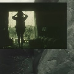 sample flipping experiment