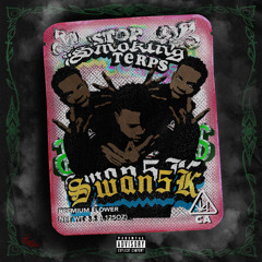 STOP SMOKIN TERPS (PROD MAYDAY)