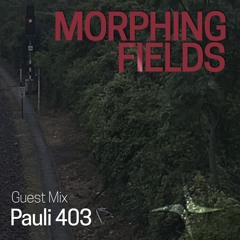 Guest Mix 004 Pauli 403