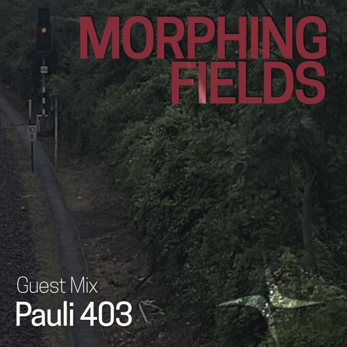 Guest Mix 004 Pauli 403