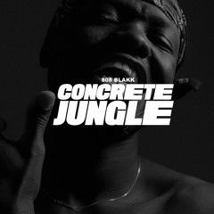 Concrete Jungle (Prod. By 808 Blakk)
