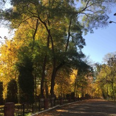 Sienna, Saffron, and Ochre