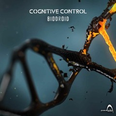 06 - Cognitive Control - Program