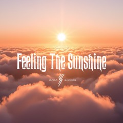 Feeling the Sunshine (feat. marcelo barbosa)