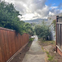 Monterey Blvd daffodils in diapers - disciples.m4a