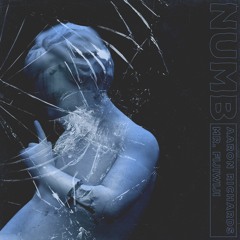 Numb (Mr FijiWiji Remix) - Aaron Richards
