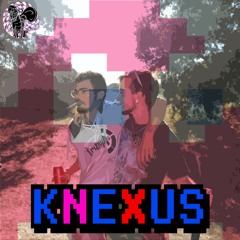 TKTEK - KNEXUS