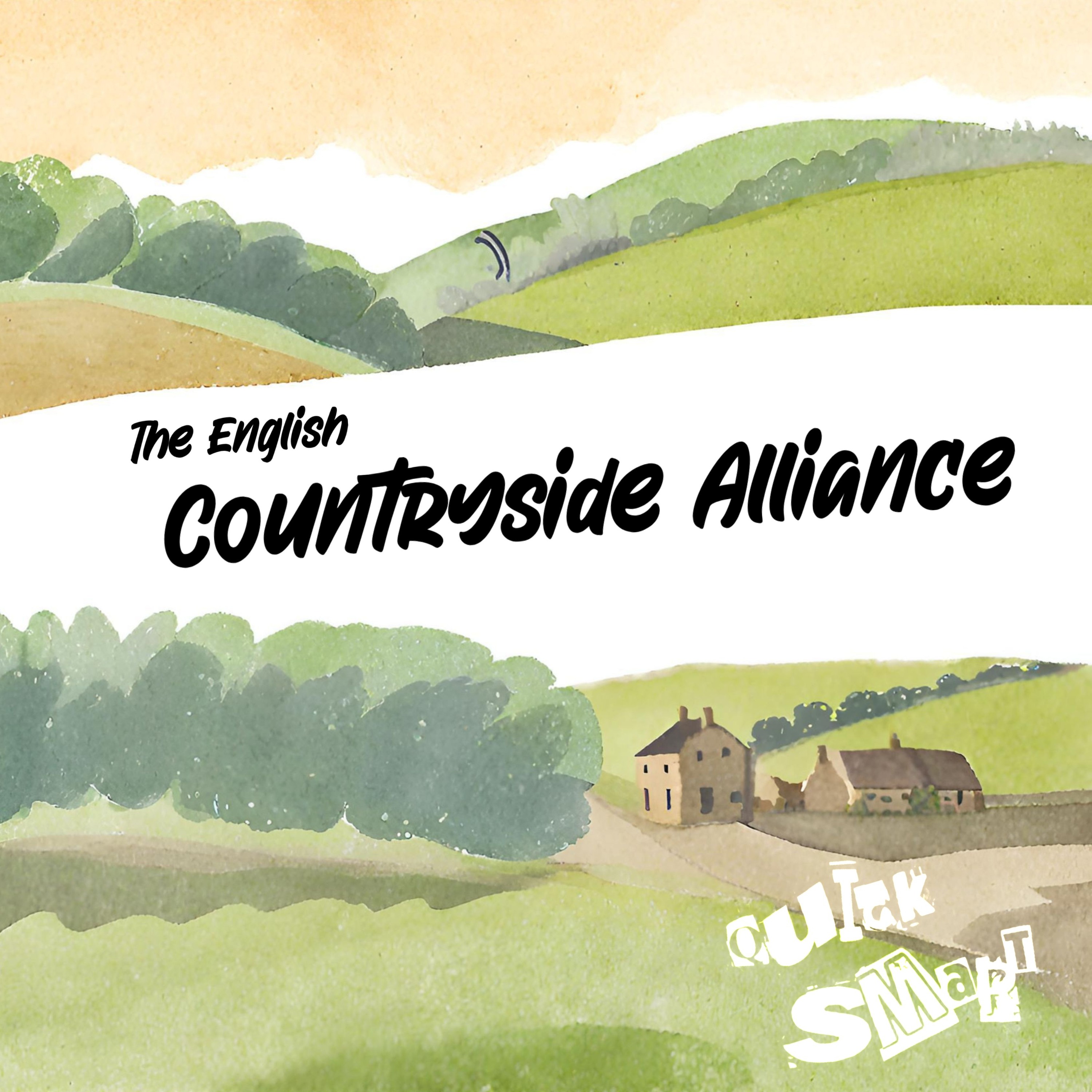 The QuickSmart Comedy Show