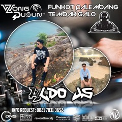 DJ WONG DUSUN REMIX l DUGEM STECU STECU X GARAM MADU l SPESIAL REQUEST ALDO JS 2025.mp3.mp3