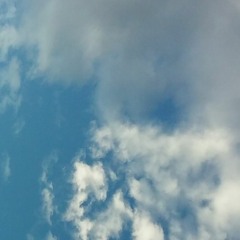 Rise Above The Noise