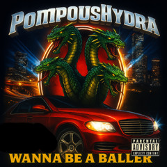 Wanna Be A Baller