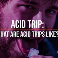 Trip City Pt. 2