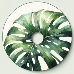 Sonic Oasis #5 Sundays House Mix