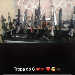 HOJE TU SENTE A PRESSÃO DOS BANDIDO DO CV - DG DO BROOKLYN [ DJ A.L SILVA 22 ] TROPA DO G 🇻🇳