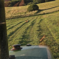 Kizo - PATRYK I WAZA (MOORAH Remix)