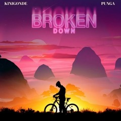 kinigonde & punga - Broken down