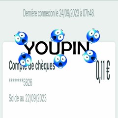 YOUPIN