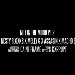 Nesty Floxks X Melly G X ASSASIN X Macho 8OH - Not In The Mood PT.2