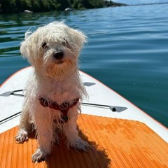 Over Now (Recording Idea)