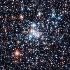 stars (forget remix)
