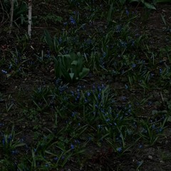 @tnezhnosti mxtp — мой весенний