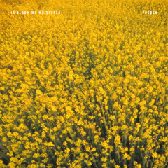 In Bloom We Whispered