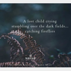 The Dark Fields of Fear and Joy (NaviarHaiku373)