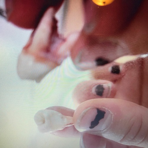 Randyz Universe - MWB - Piss off, we hate you!