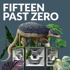 Ab ins Zelt // 15PastZero @SektorEvolution