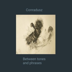 Between tones and phrases