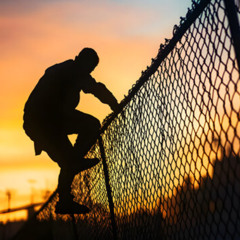 climbing fences