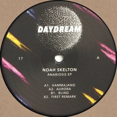 Noah Skelton - Anabiosis EP (DAYDREAM017)