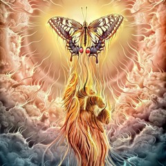 THE LIGHT WITHIN.....