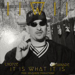 IIWII (it is what it is) ft. Seranade