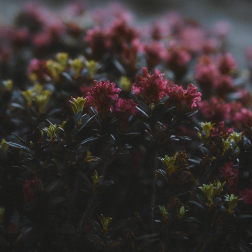 Way Too In Deep (w. Summer Walker)