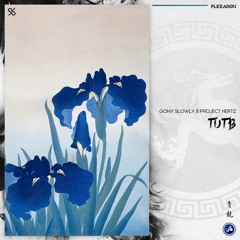 Gony Slowly & Project Hertz - TUTB