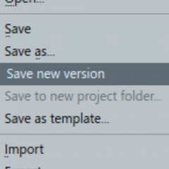 save new version