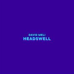 David Meli - Headswell (Prod. David Meli)