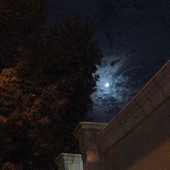 مقيّدني غرامك وصرت لهالغرام أسير..