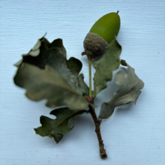 From small things