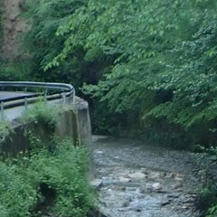 la madeleine