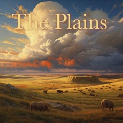 The Plains