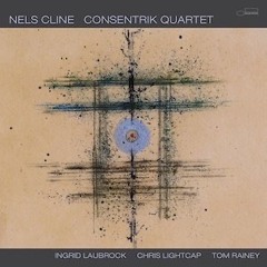 Stereo Embers The Podcast 0431: Nels Cline (Wilco, The Consentrik Quartet)