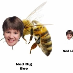 Queen Big_Bee (flip)