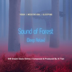 Sound Of Forest (Deep Relax)