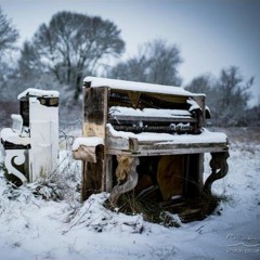 The Mush Orchestra - A Waltz for December