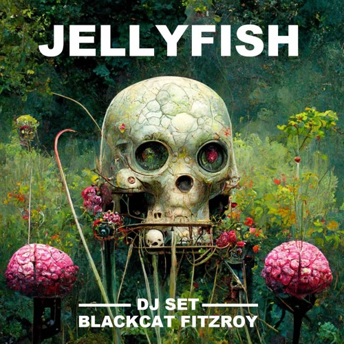 Jellyfish DJ Set 05/08/2022