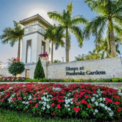 Best Things To Do In Cooper City Florida Tours Reviews