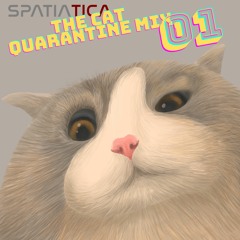 The Cat Quarantine Mix  (Mix 01)